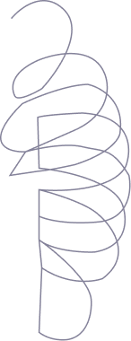 Spiral Icon
